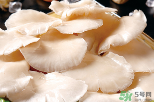 平菇怎么洗？平菇怎么洗才干凈？
