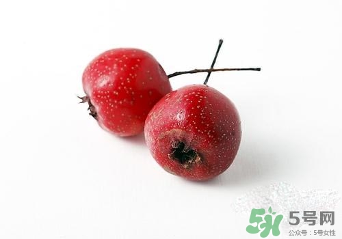 孕婦可以吃山楂嗎？孕婦吃山楂好嗎？