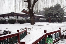 下雪天適合吃什么？下雪天吃什么食物好？