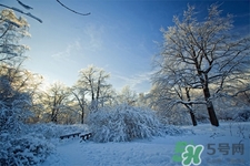下雪天會打雷嗎？下雪天為什么會大雷？