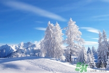 下雪天會打雷嗎？下雪天為什么會大雷？