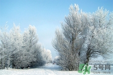 下雪天會打雷嗎？下雪天為什么會大雷？