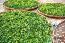 冬天喝什么茶能減肥？冬季九款茶暖胃又瘦身