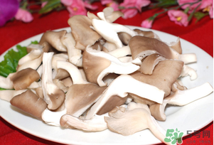 孕婦可以吃平菇嗎？孕婦吃平菇有什么好處？