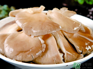 平菇是發(fā)物嗎？平菇是不是發(fā)物？