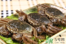 寶寶能吃螃蟹嗎？寶寶可以吃螃蟹肉嗎？