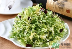 苦菊可以減肥嗎？苦菊怎么吃可以減肥？