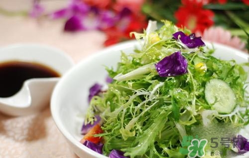 苦菊可以減肥嗎？苦菊怎么吃可以減肥？