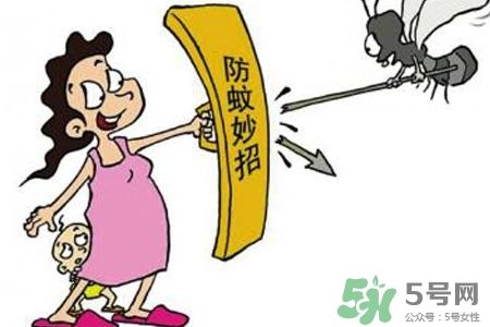 冬天為什么會有蚊子？冬天家里有蚊子怎么辦？
