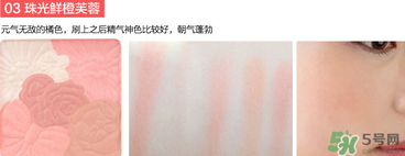 canmake花瓣腮紅珠光還是啞光好？canmake腮紅珠光好看還是啞光？