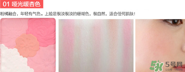 canmake花瓣腮紅珠光還是啞光好？canmake腮紅珠光好看還是啞光？
