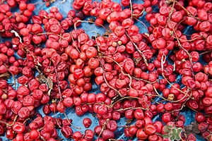 五味子茶韓國怎么喝？五味子茶的五種味道代表什么？