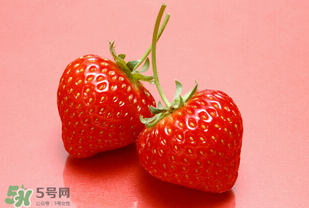 冬天有草莓嗎？冬天的草莓能吃嗎？
