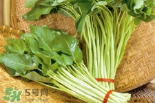 冬天可以吃空心菜嗎？冬天排毒多吃空心菜