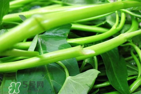 冬天可以吃空心菜嗎？冬天排毒多吃空心菜