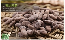 吊瓜子的營養(yǎng)價(jià)值 吊瓜子的功效與作用