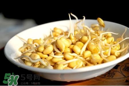 冬天可以發(fā)豆芽嗎？冬天怎樣發(fā)黃豆芽？