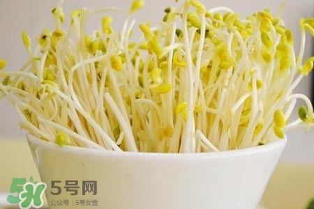 冬天可以發(fā)豆芽嗎？冬天怎樣發(fā)黃豆芽？