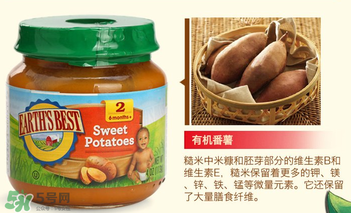 輔食泥哪個牌子好？輔食泥排行榜