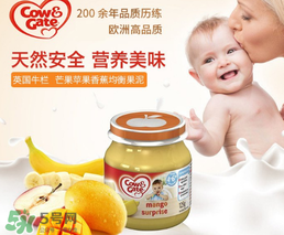 輔食泥哪個牌子好？輔食泥排行榜