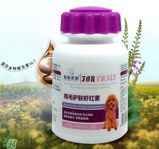 泰迪吃蝦紅素好嗎？蝦紅素的功效與作用
