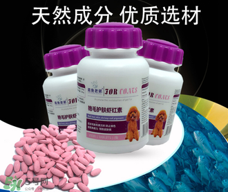 泰迪吃蝦紅素好嗎？蝦紅素的功效與作用