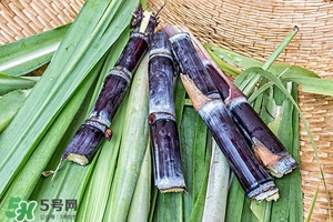 甘蔗皮有什么藥用功效？甘蔗皮的功效與作用