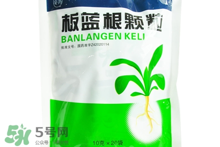 冬天喝板藍(lán)根好嗎？板藍(lán)根的功效與作用