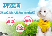 拜寵清要怎么喂？拜寵清驅(qū)蟲藥說明書