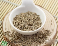 小茴香是孜然嗎？小茴香和孜然的區(qū)別