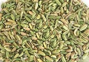 小茴香是孜然嗎？小茴香和孜然的區(qū)別