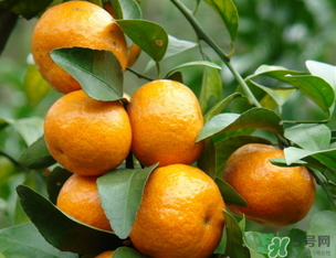 小橘子上火嗎？小橘子吃多了會(huì)上火嗎？