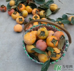柿子長白點(diǎn)還能吃嗎？柿子上有白點(diǎn)能吃嗎？