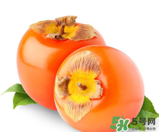 柿子籽能吃嗎？柿子籽的功效與作用