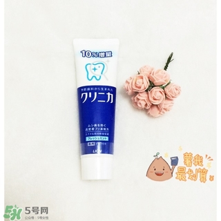 獅王牙膏孕婦可以用嗎？孕婦可以用獅王牙膏嗎？