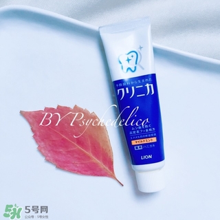 獅王牙膏保質(zhì)期怎么看？獅王牙膏保質(zhì)期是多久？