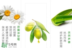 德國小甘菊護手霜新舊包裝區(qū)別 德國小甘菊護手霜新舊包裝對比