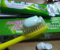 lion獅王是什么牌子？獅王是哪個國家的什么檔次？