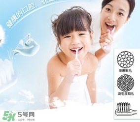 獅王牙刷怎么辨別真假？獅王牙刷真假對(duì)比