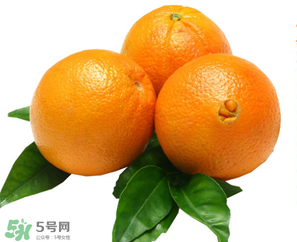 新鮮橙子皮可以泡水喝嗎？新鮮橙子皮的功效與作用