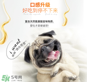 狗狗營(yíng)養(yǎng)膏什么牌子好？狗狗營(yíng)養(yǎng)膏多少錢？