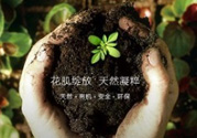 花肌粹護膚品怎么樣？花肌粹護膚品含激素嗎？