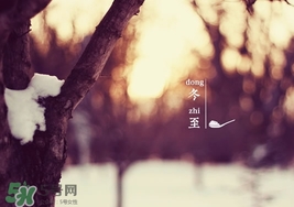 冬至可以提前上墳嗎？冬至上墳可以提前幾天？