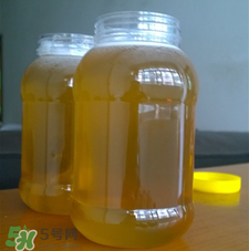 冬蜜好還是春蜜好？冬蜜和春蜜的區(qū)別