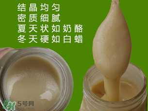 冬蜜是什么蜜？冬蜜的功效與作用