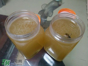 冬蜜多少錢一斤？冬蜜如何辨別真假？