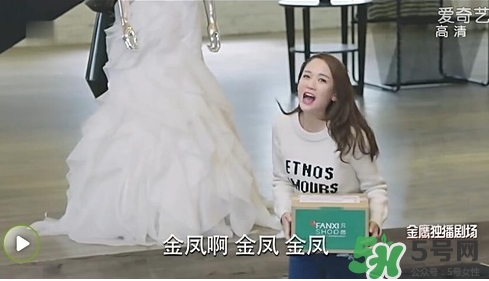 凡茜是什么牌子？凡茜是哪個(gè)國家的品牌什么檔次？