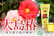 大島椿護(hù)發(fā)精油多少錢？大島椿護(hù)發(fā)精油日本價(jià)格