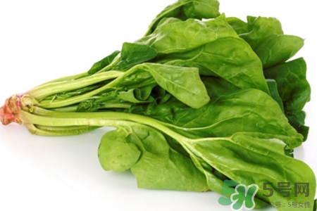吃菠菜能喝牛奶嗎？菠菜和牛奶能一起吃嗎？