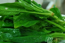 菠菜不能和什么一起吃？菠菜和什么食物相克嗎？